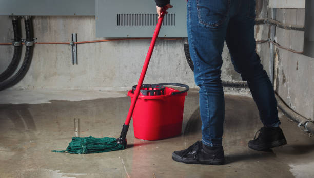 Best Flooded house restoration  in Lewiston, MN