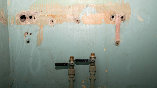 Best Water damage restoration insurance claims  in Lewiston, MN