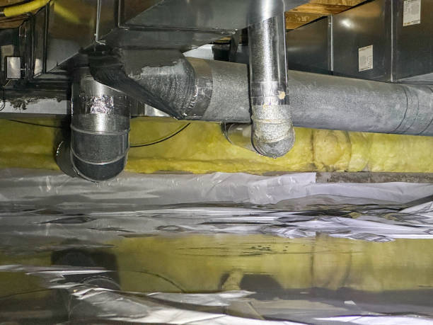 Best Professional water damage repair  in Lewiston, MN