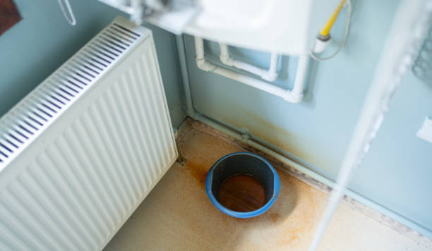 Best Local water damage restoration  in Lewiston, MN