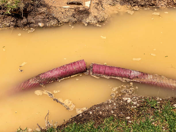 Best 24-hour water damage restoration  in Lewiston, MN