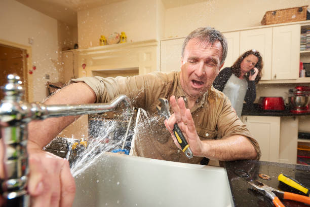 Best Residential water damage restoration  in Lewiston, MN